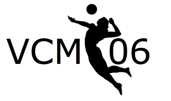 Logo: VC Minseln
